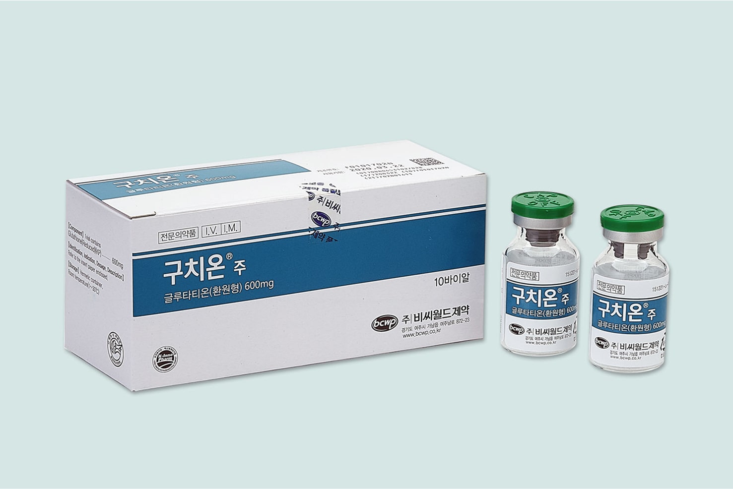 설명 이미지