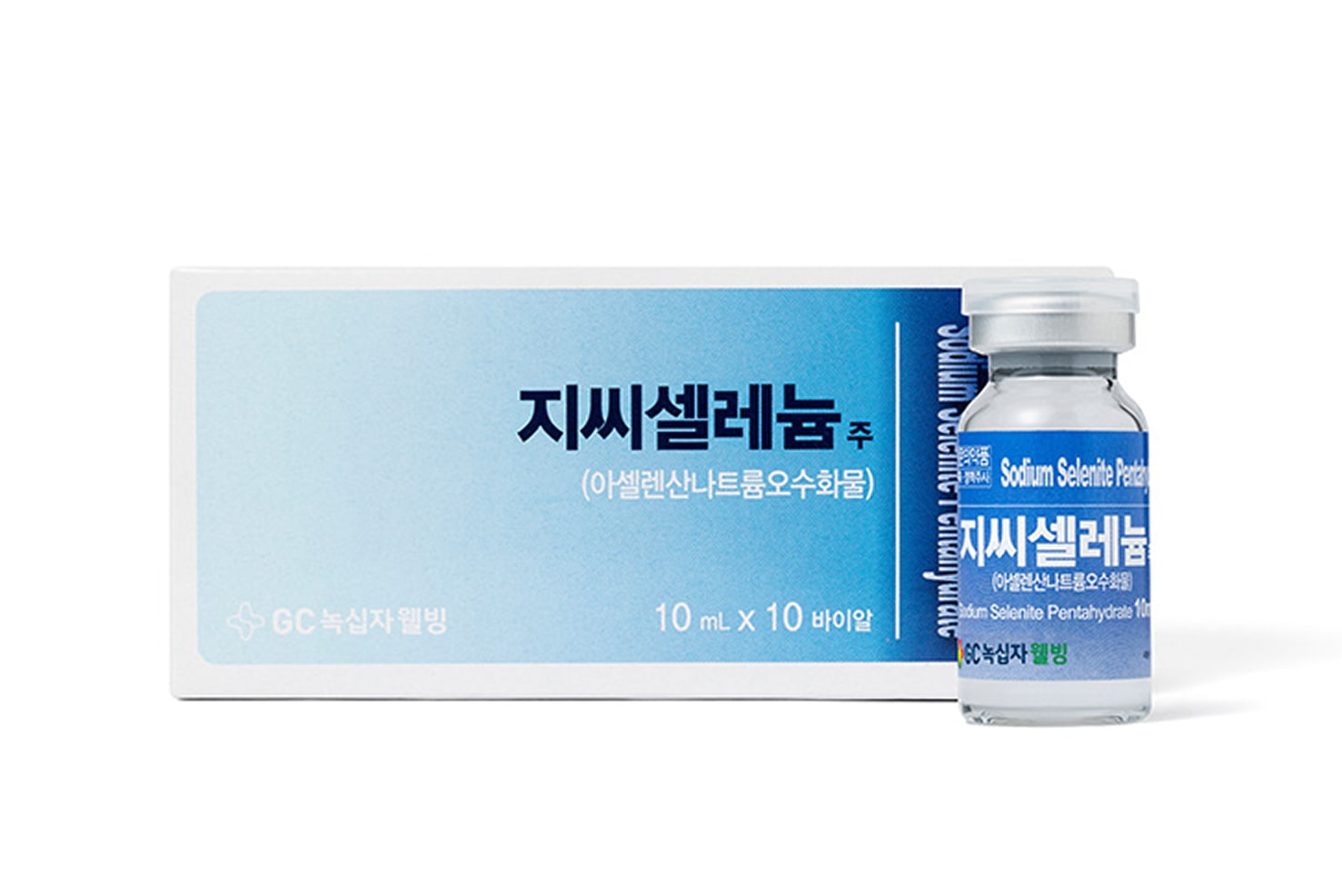 설명 이미지